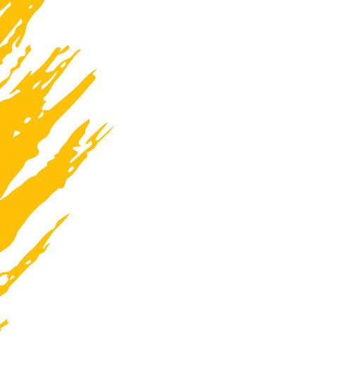 vaya